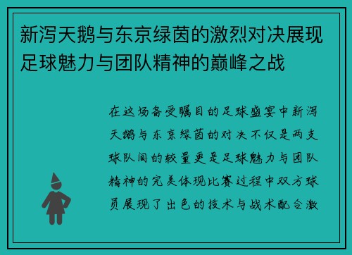 新泻天鹅与东京绿茵的激烈对决展现足球魅力与团队精神的巅峰之战